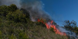 Alanya'da orman yangını